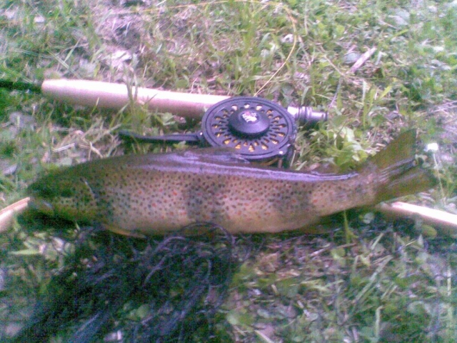Captura de una trucha